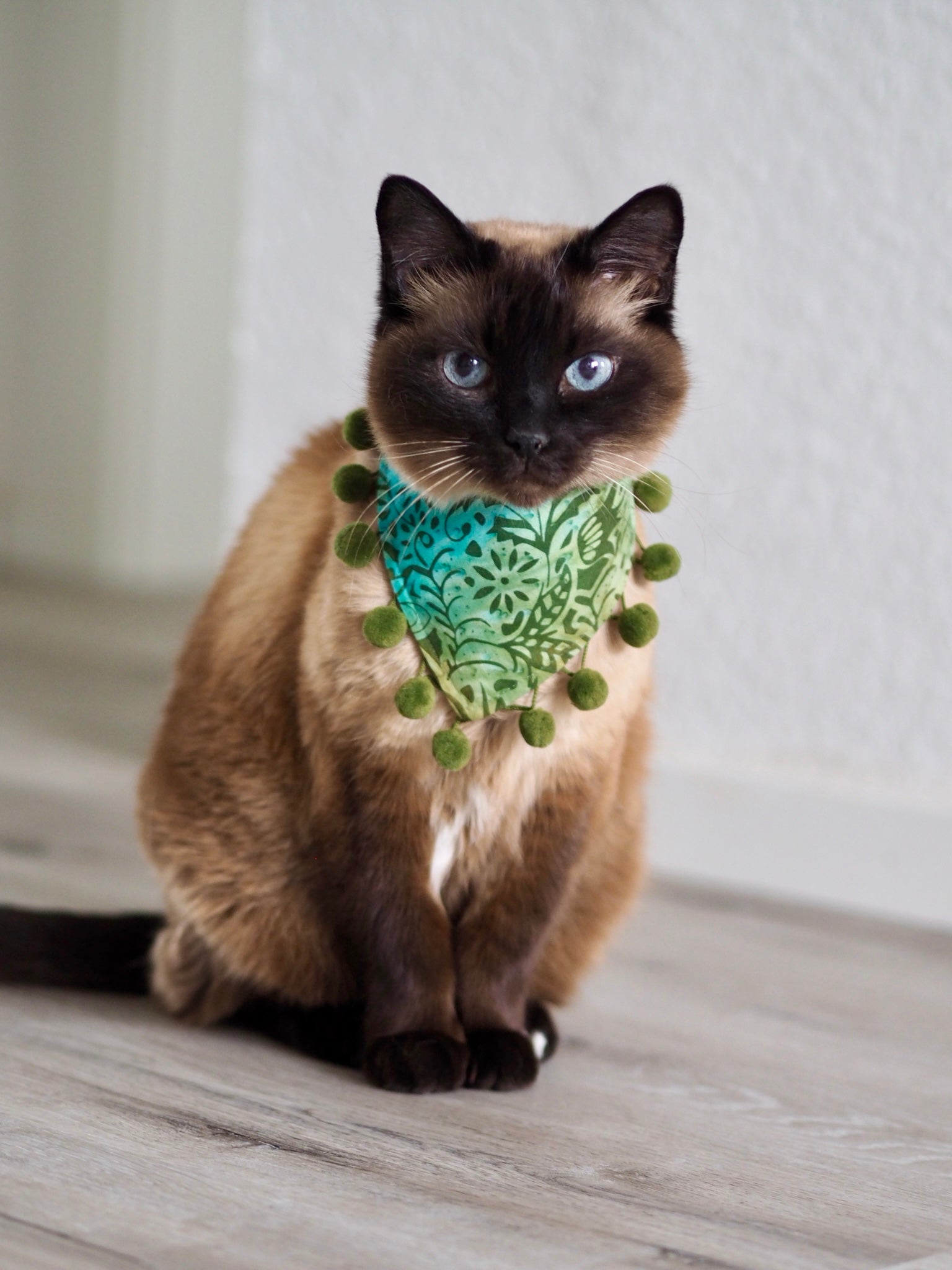 Siamkatze trägt Katzenhalstuch mit Batikmuster und Bommelborte in grün und blau