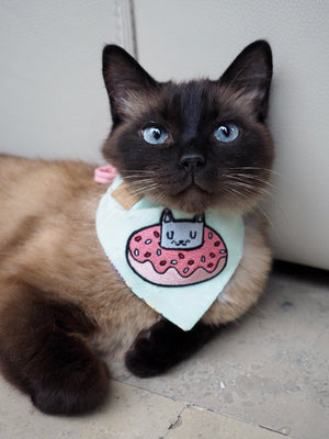 Katzenhalstuch - Katzenaccessoires - Donut - Cats & Calories