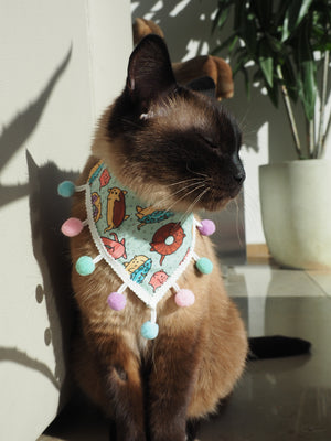 Katzenhalstuch - Katzenaccessoires - Donut - Cats & Calories